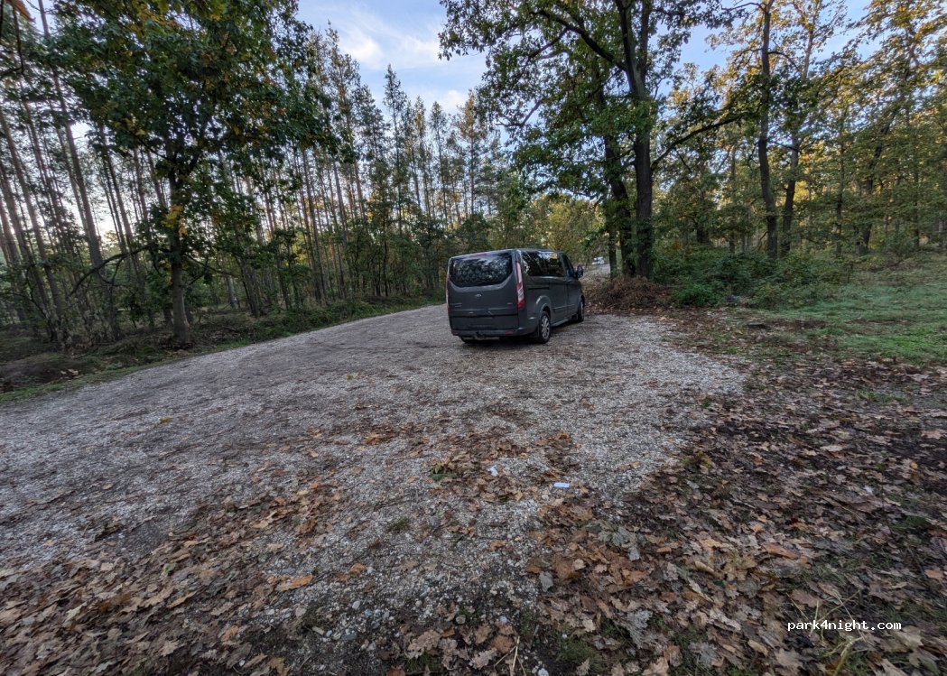 (294 74) Skorkov - — foto