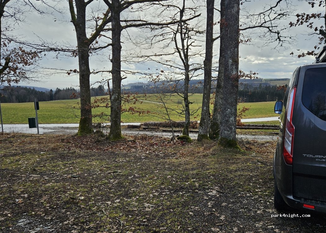 (79777) Ühlingen-Birkendorf - Unnamed Road — foto
