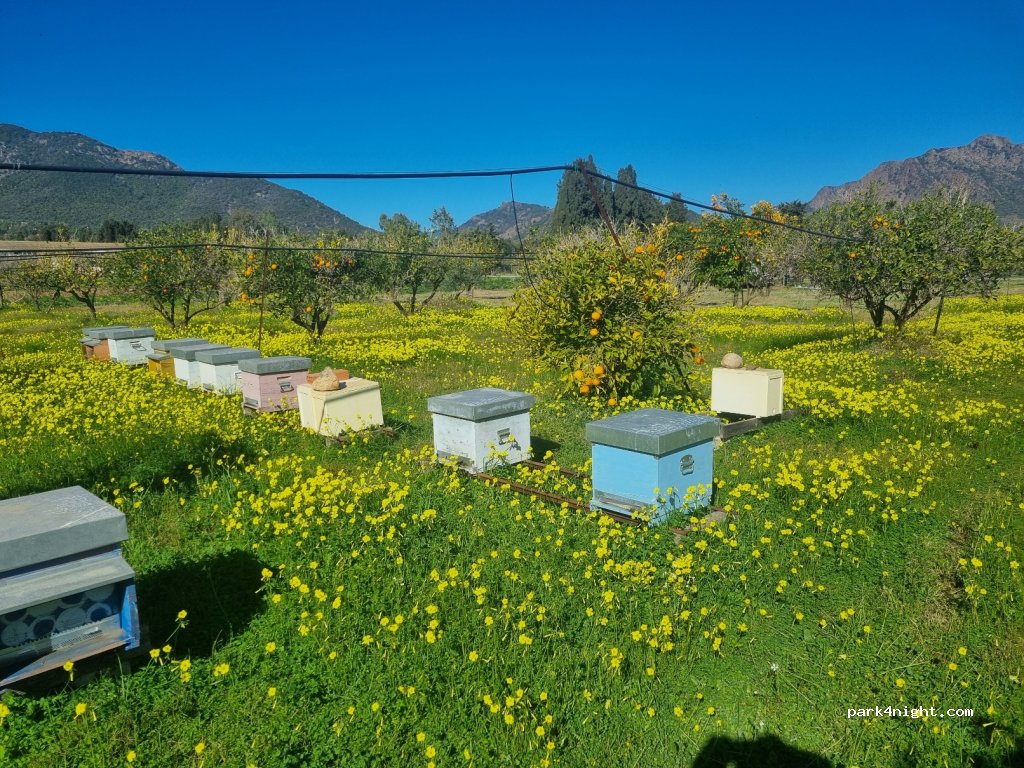 Tenuta Naturale Agri Camping — foto 5