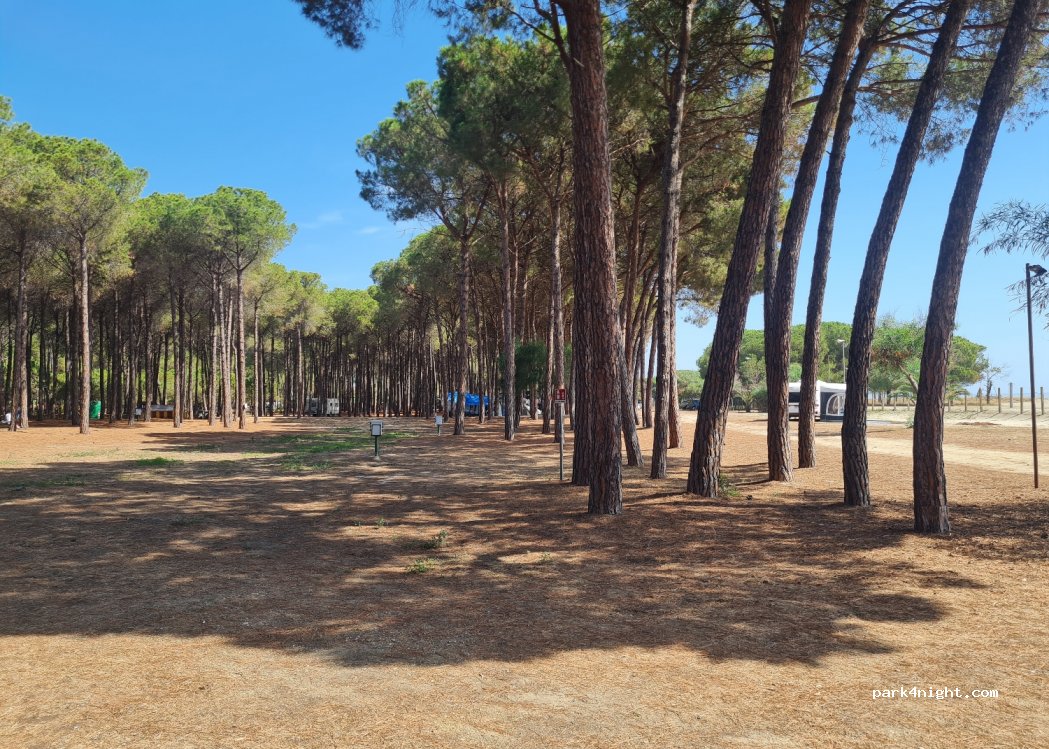 Camping Thurium — foto 2