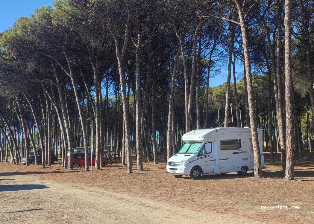 Camping Thurium — foto 5