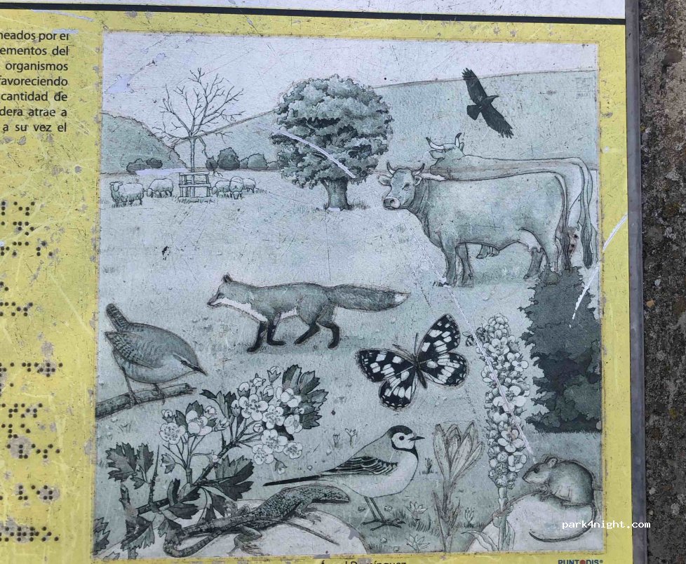 (26125) Villoslada de Cameros - Unnamed Road — foto 5