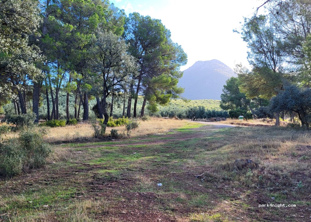 (18570) Deifontes - — foto 4