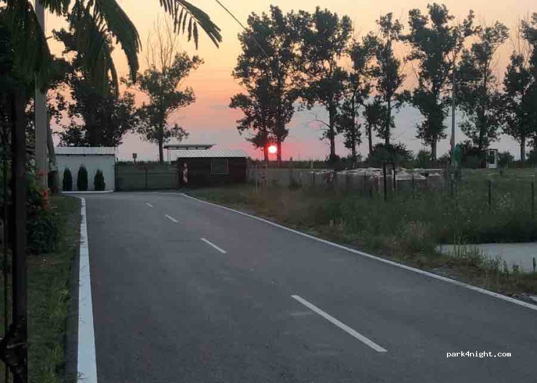 Sunset Garden — foto
