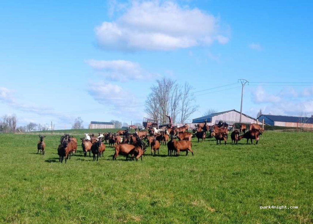 Chèvrerie La Bêle Fontenoise — foto