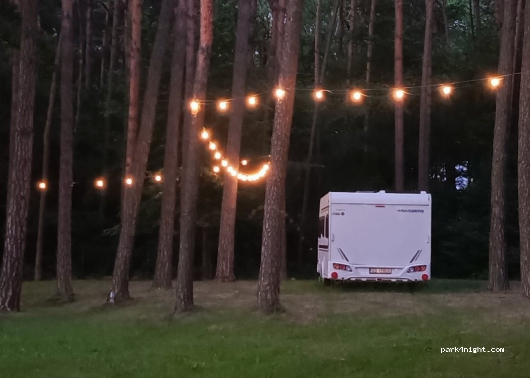 Camp Fish — foto 3