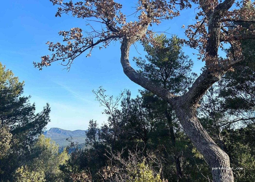 (83640) Plan-d'Aups-Sainte-Baume - — foto