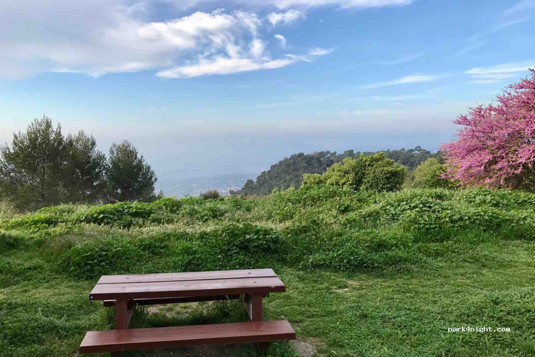 (06130) Grasse - Route Napoléon — foto