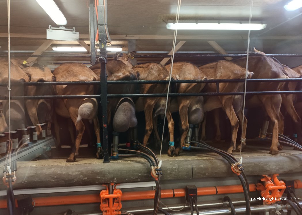Ferme-La Bikette Caugéenne — foto 5