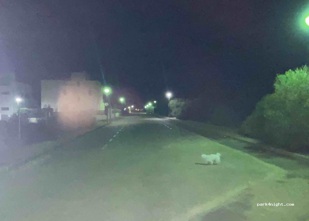 (07639) Campos - 5 Carrer de Torre Marina — foto 2
