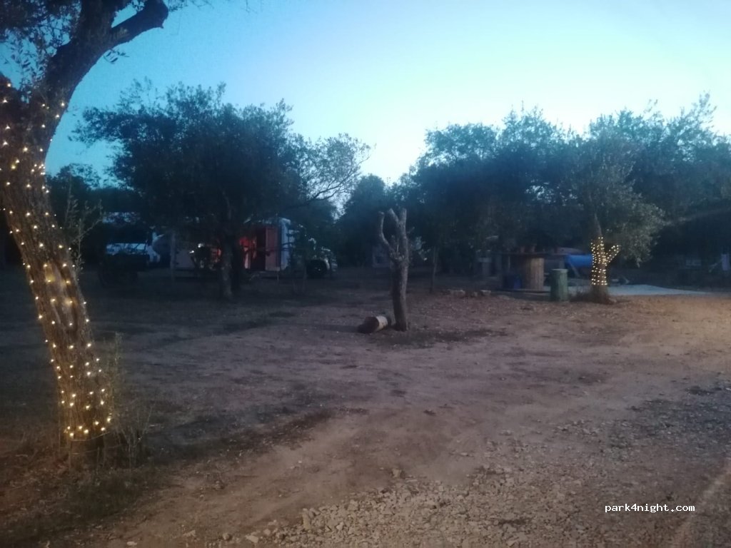 Il giardino tra gli ulivi — foto 4