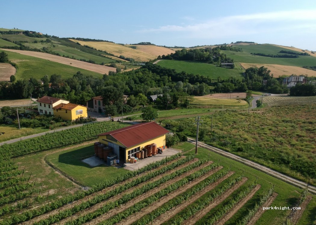 Cantina Podere Ferraruola-Dozza — foto