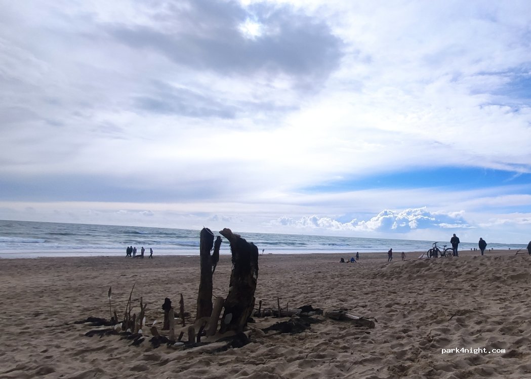 (17580) Le Bois-Plage-en-Ré - 2B Promenade de la Plage — foto 4