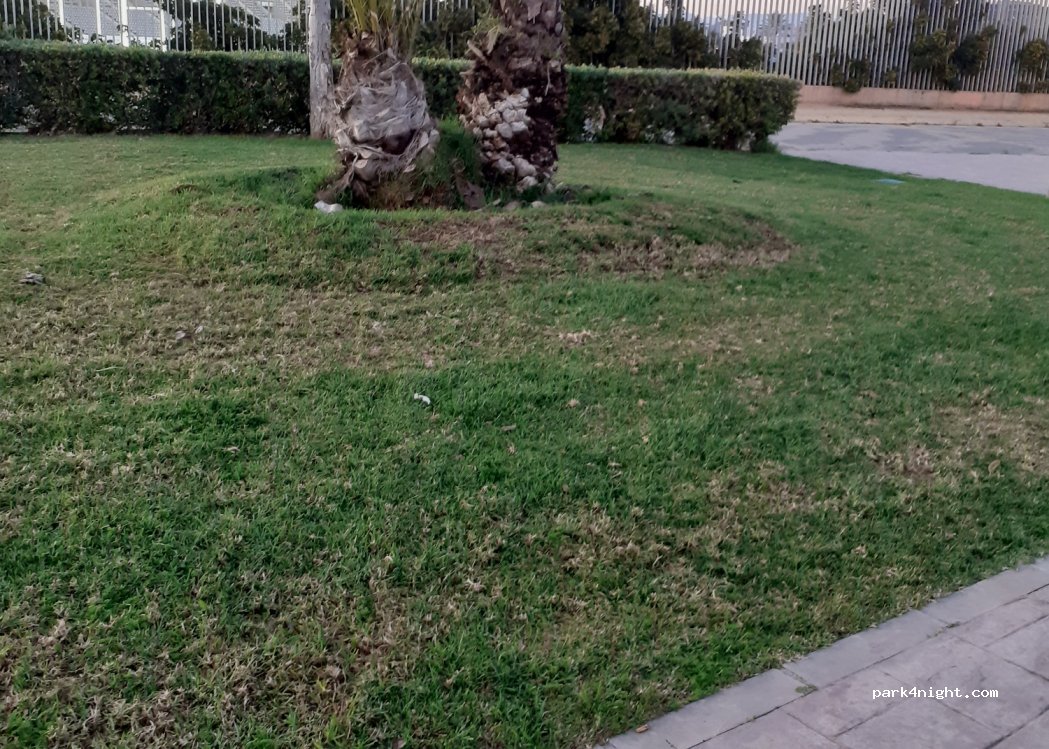 (29004) Málaga - C. Concha Lagos — foto 2