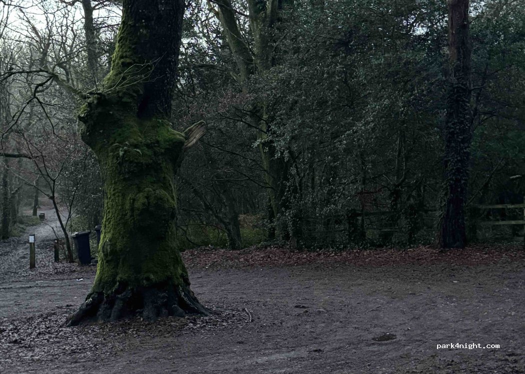 (BH21 3BJ) Wimborne - Unnamed Road — foto 4