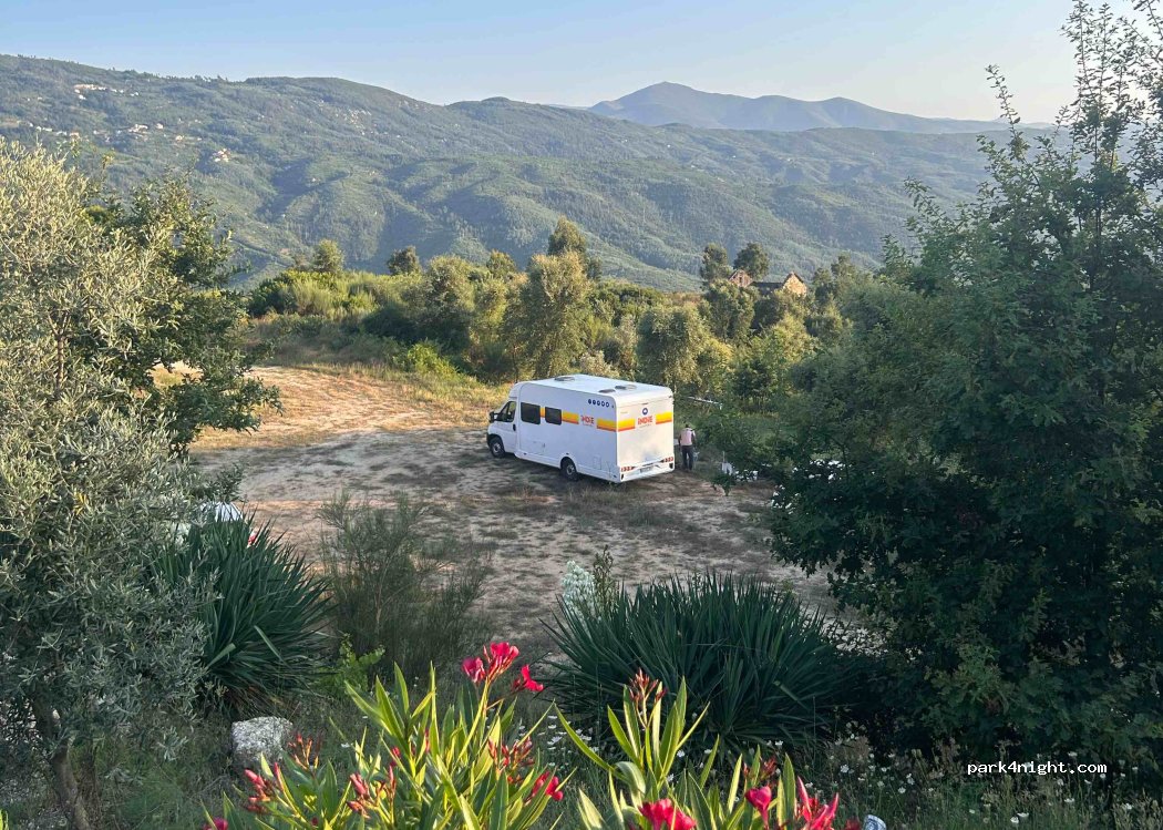 Zevari Club — foto 4