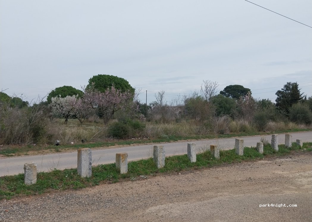 (43206) Reus - 36 El Camí de Rubió — foto