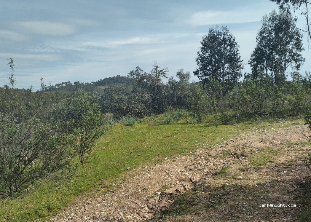 (6000-500) Cebolais de Cima - — foto