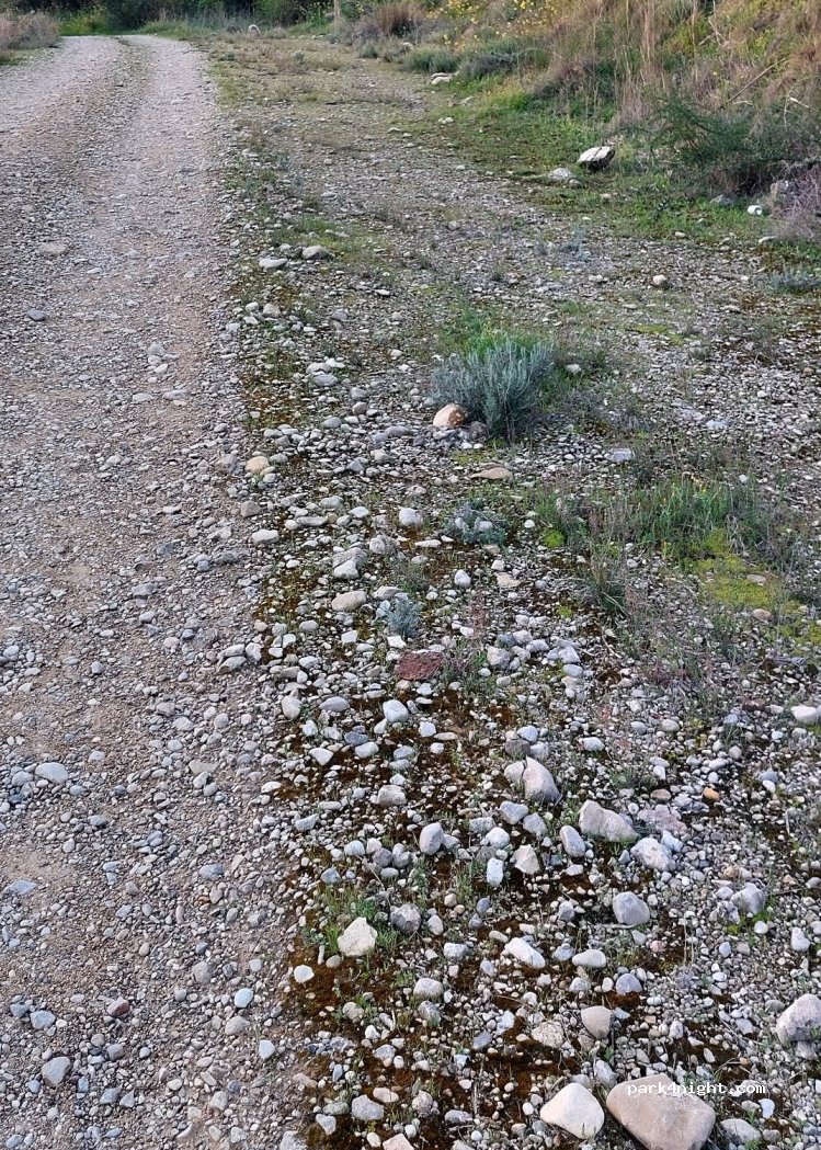 (14859) Albendín - — foto 3