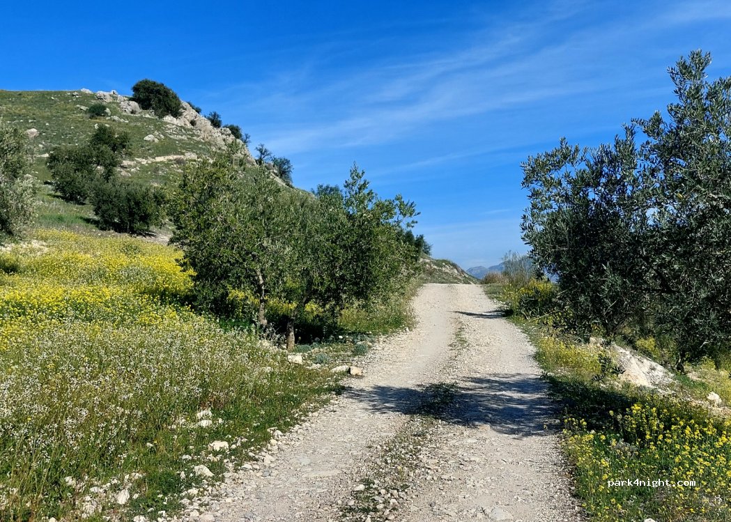 (14859) Albendín - — foto 4