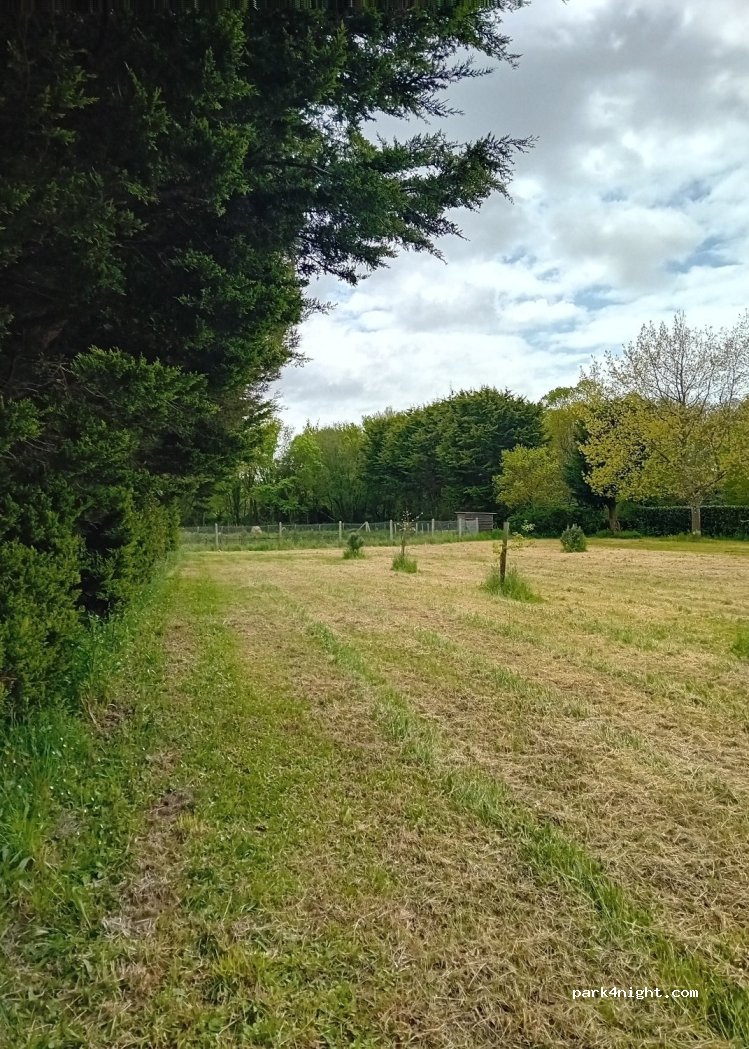 (44250) Saint-Brevin-les-Pins - Chemin de Briord — foto