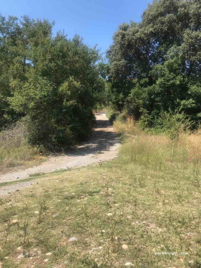 (25790) Bassella - Unnamed Road — foto 2