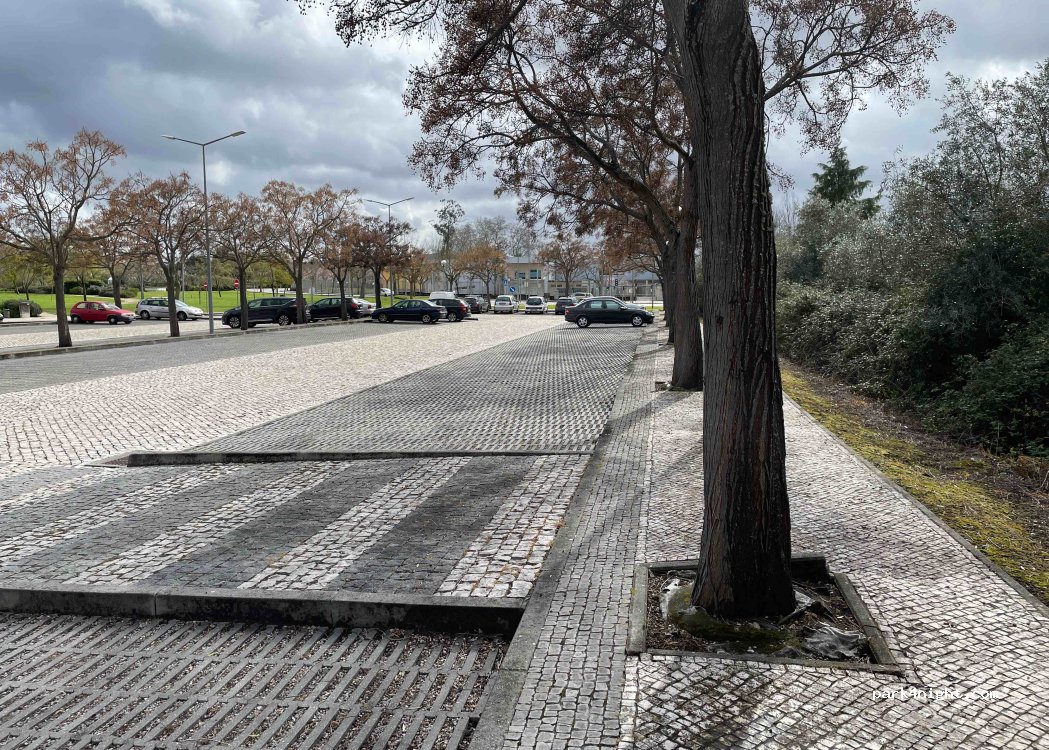 (3150) Condeixa-a-Nova - 3150 Rua Doutor Simão da Cunha — foto