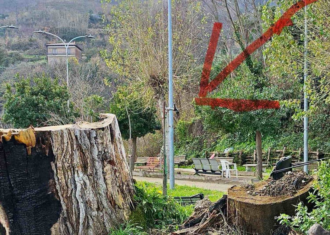 (80049) Somma Vesuviana - 127 Via Santa Maria delle Grazie a Castello — foto