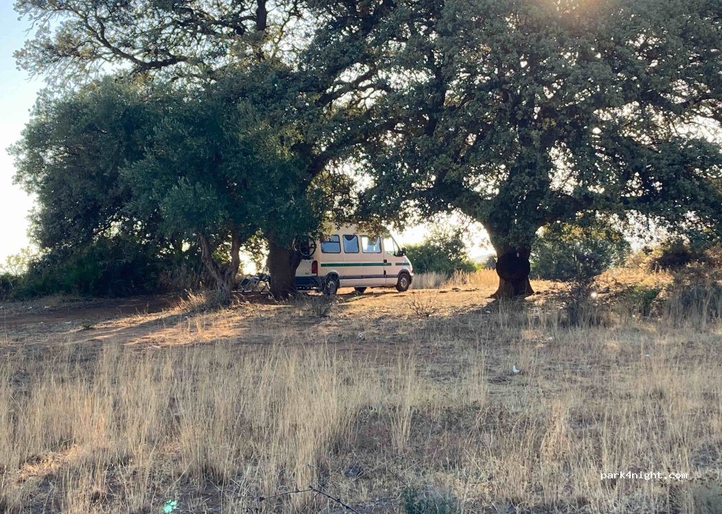 (29130) Alhaurín de la Torre - 163 Camino las Barrancas — foto 4