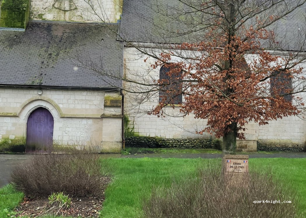 (62380) Esquerdes - 30 Place Jean Jaurès — foto