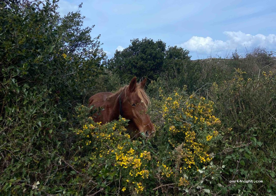 (33597) Vidiago - Unnamed Road — foto