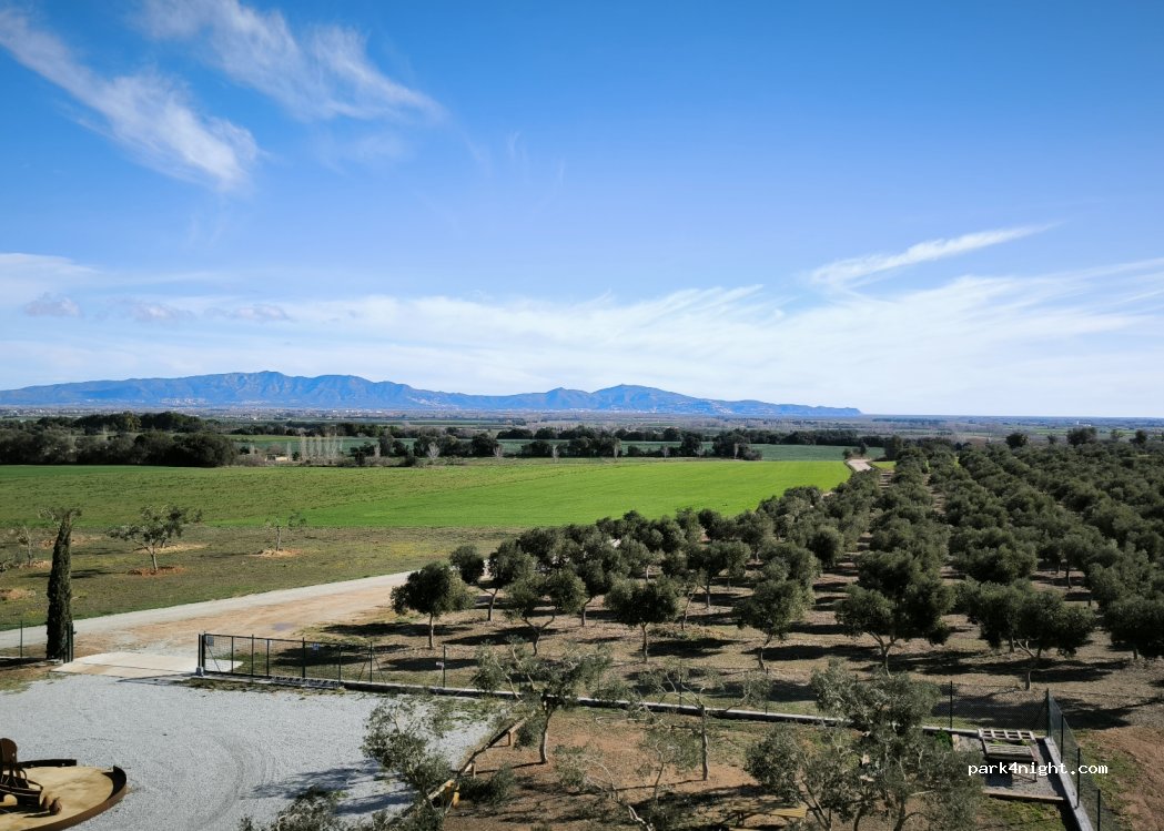 Societat Agrícola Siurana — foto 3
