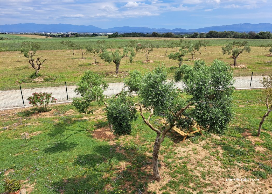 Societat Agrícola Siurana — foto 5