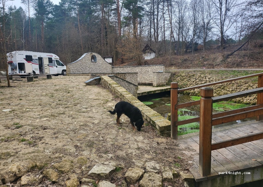 (22-463) Trzęsiny - Unnamed Road — foto 4