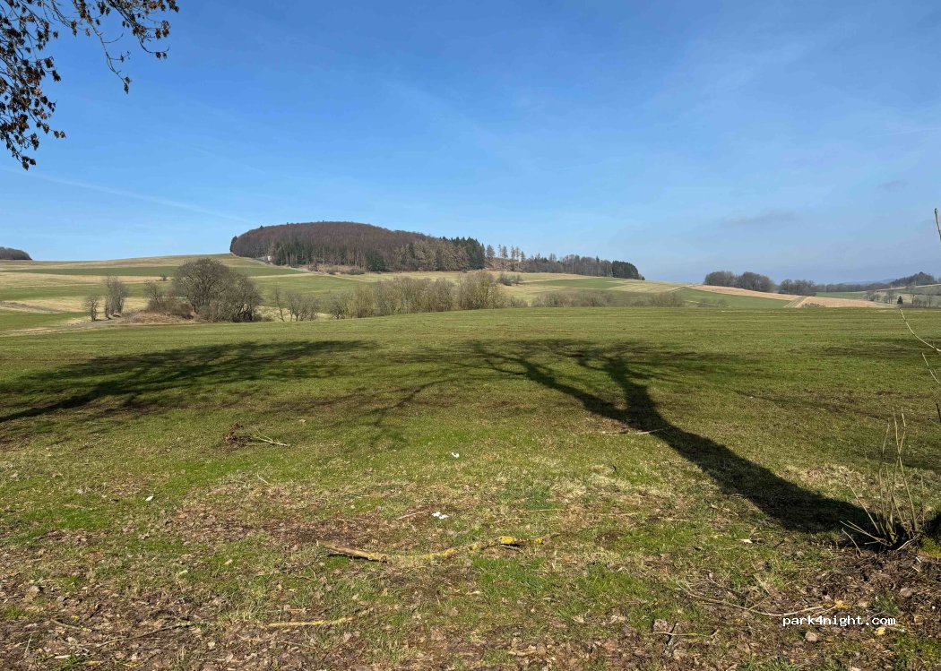(34) Schwarzenborn - L3155 — foto 2