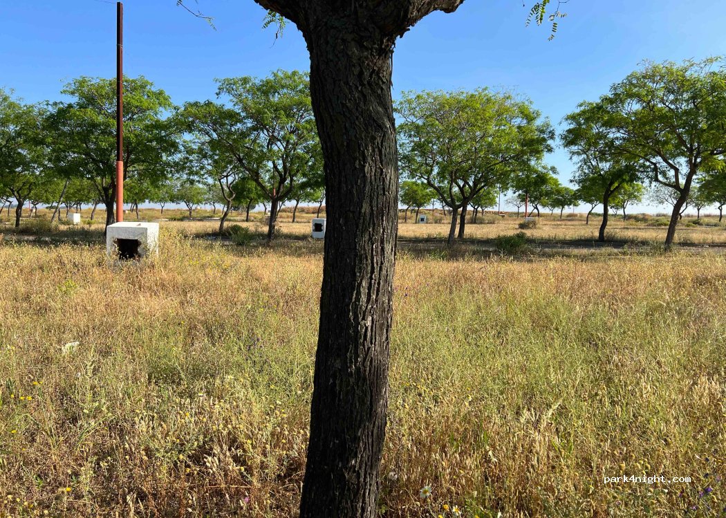 (21710) Bollullos Par del Condado - 24 Sector Pp1 Cruz de Montañina — foto