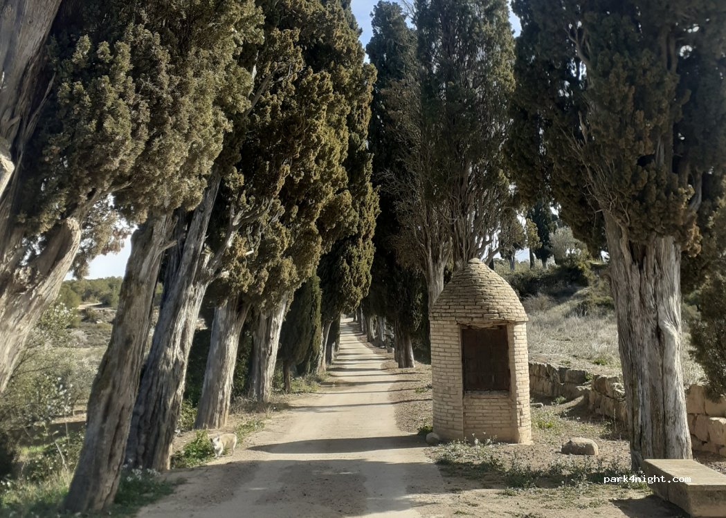 (43782) Vilalba dels Arcs - 3 Disseminat — foto 2