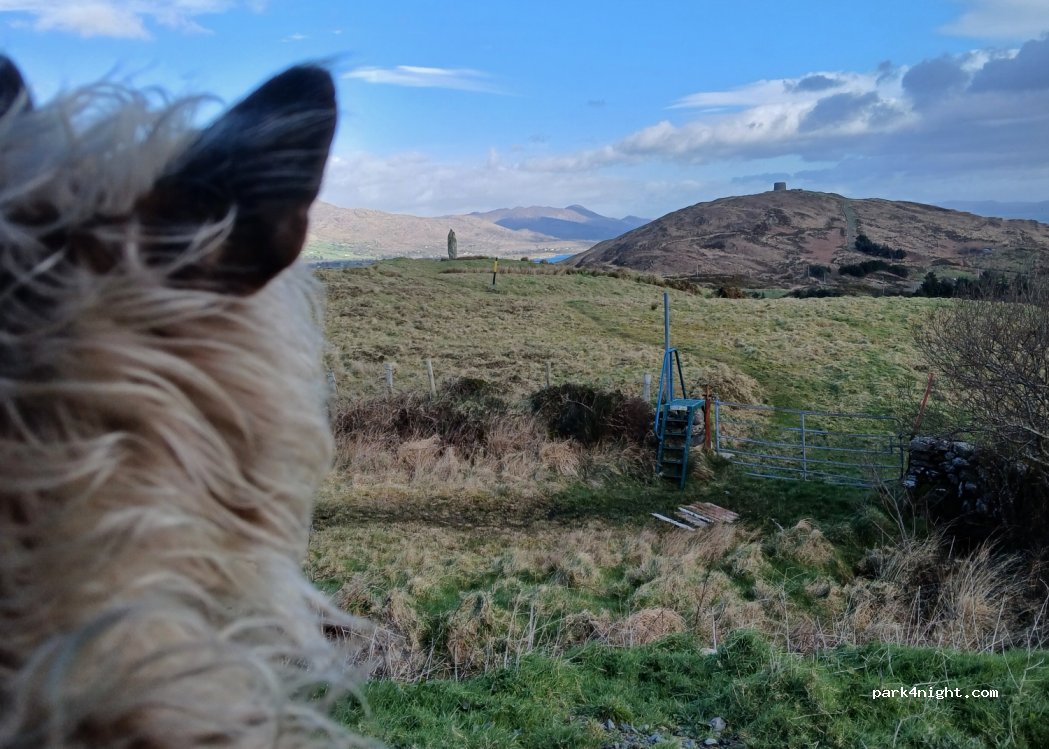 () Bere Island - — foto