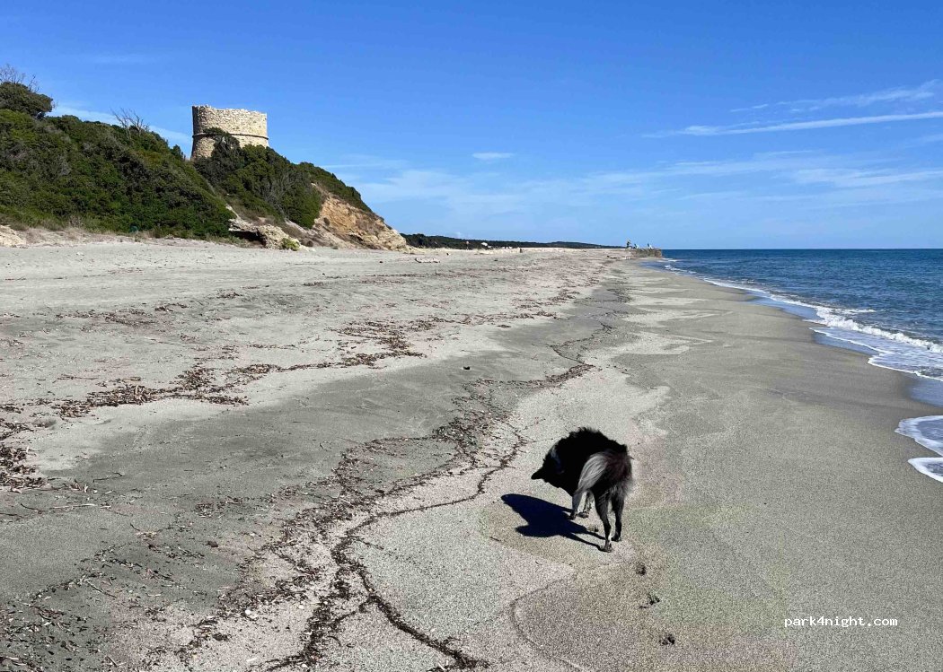(20270) Aléria - Padulone — foto 5