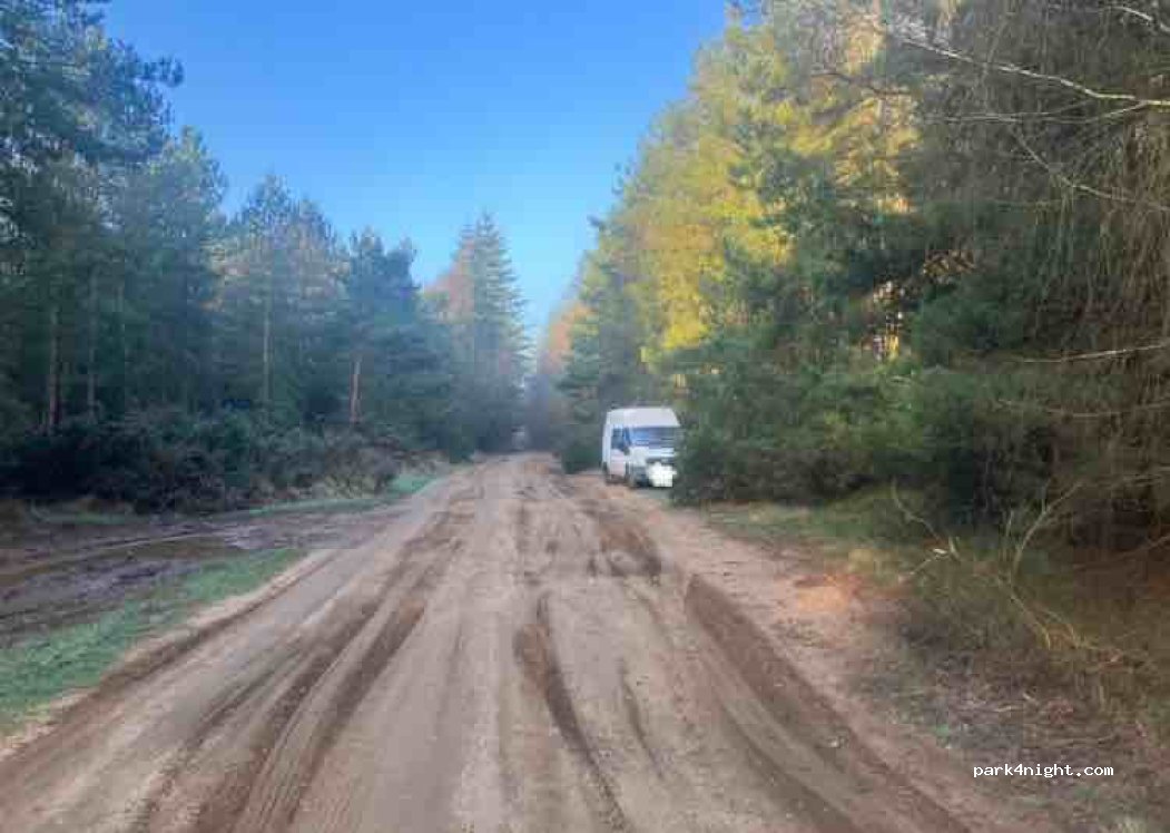 (IP27 0TP) Thetford - 23 Harling Drove — foto