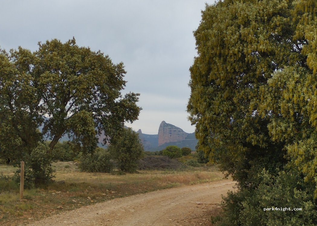 () Huesca - Camino del Río Flumeu — foto 4