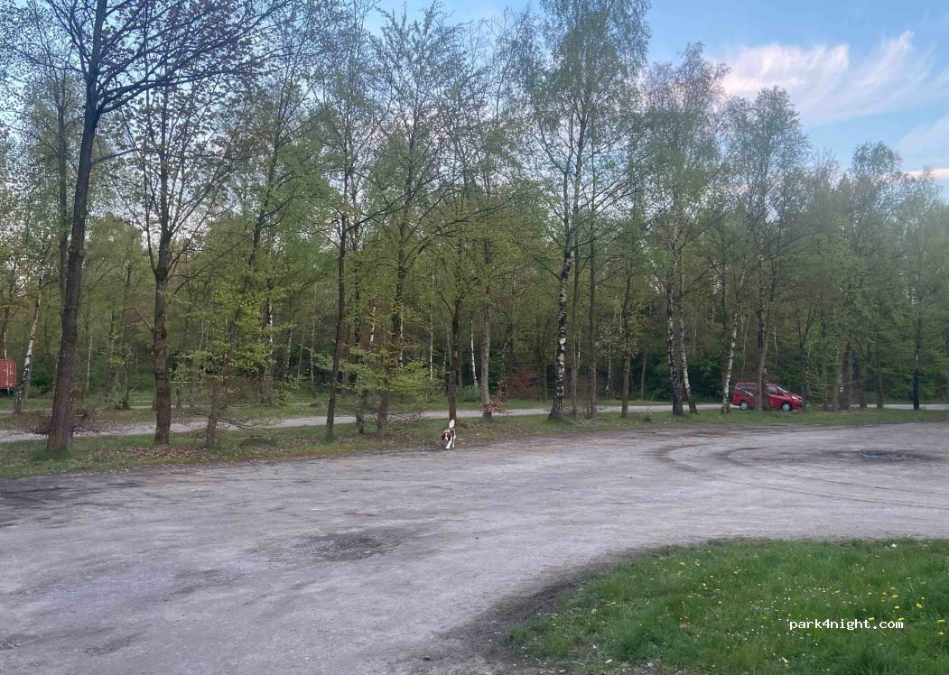 (29646) Bispingen - 15 Uhlenstieg — foto 2