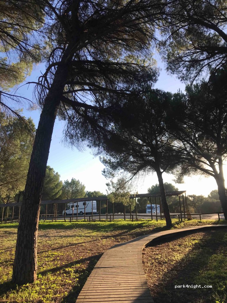 (21730) El Rocío - Carr. Carril del Acebrón — foto 3