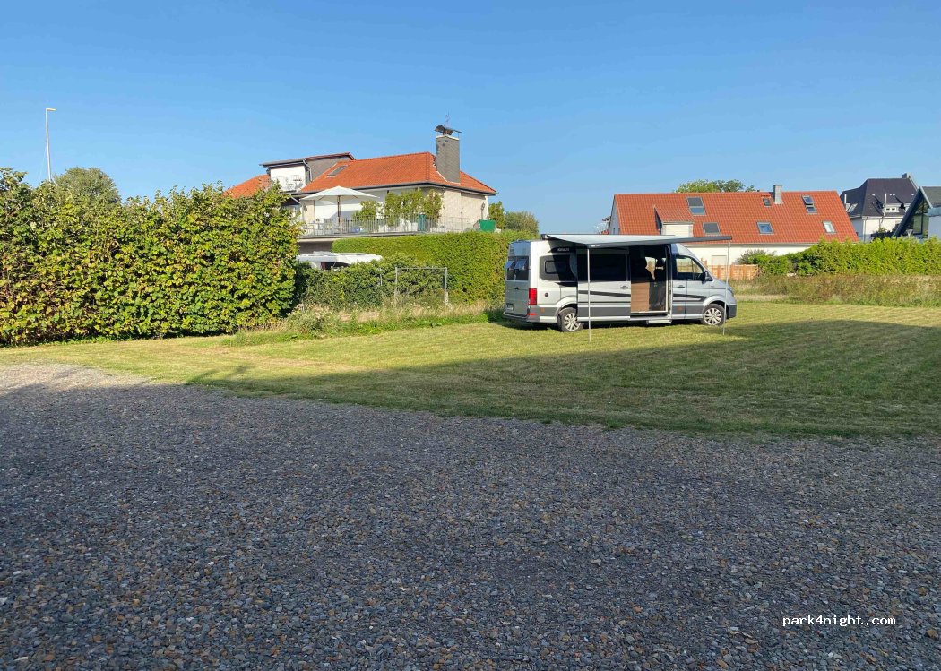 Wiese am Steinhuder Meer — foto