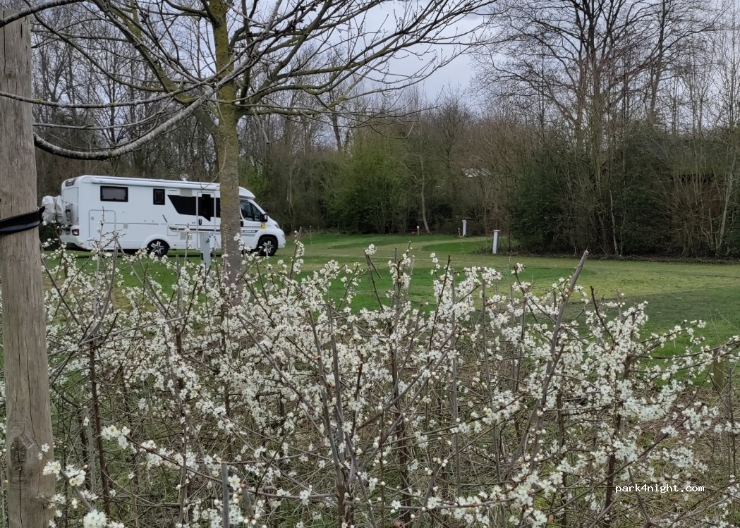 Urban Gardens | Camping Jeugdstadion — foto 4