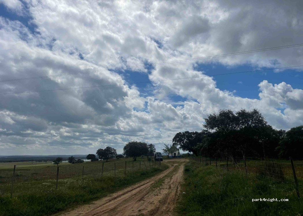 (7000) Nossa Senhora da Boa Fé - CM1079 — foto