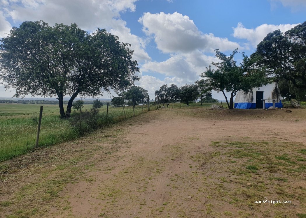 (7000) Nossa Senhora da Boa Fé - CM1079 — foto 3