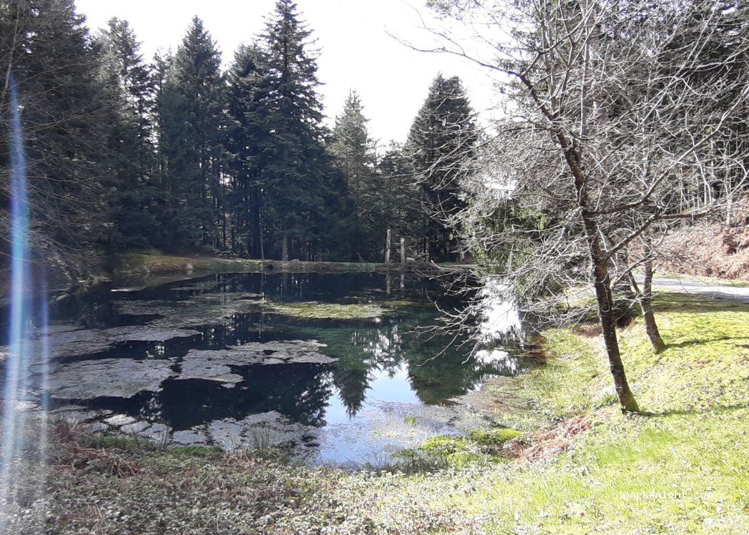 (88200) Remiremont - Route Forestière du Bambois — foto 3