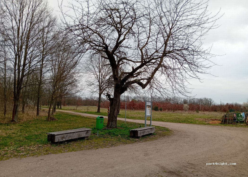 (01) Zeithain - Unnamed Road — foto