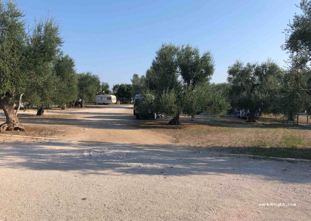 Camping Brezza tra gli Ulivi — foto